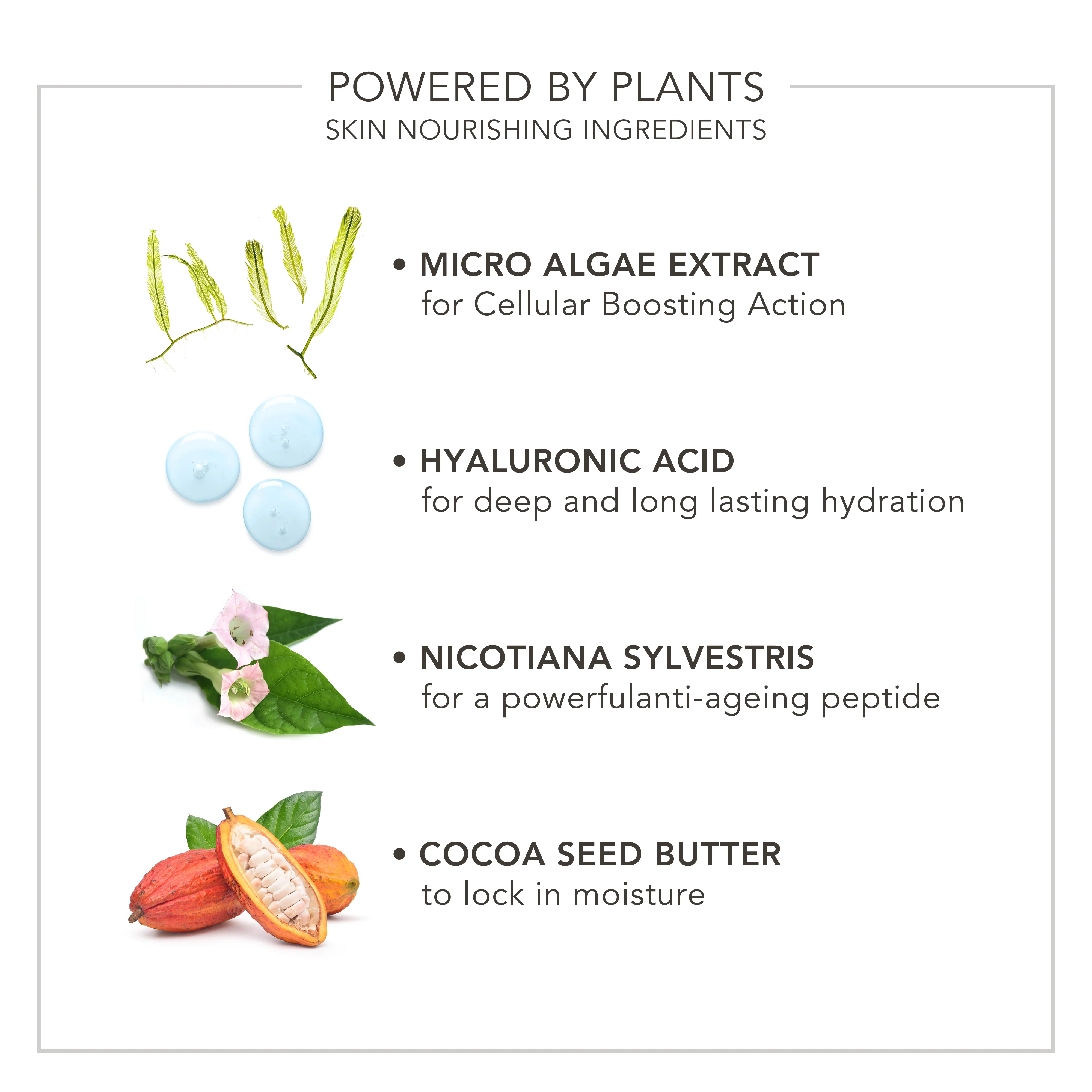 Wake Up | Radiant Eye Perfector - Image 3