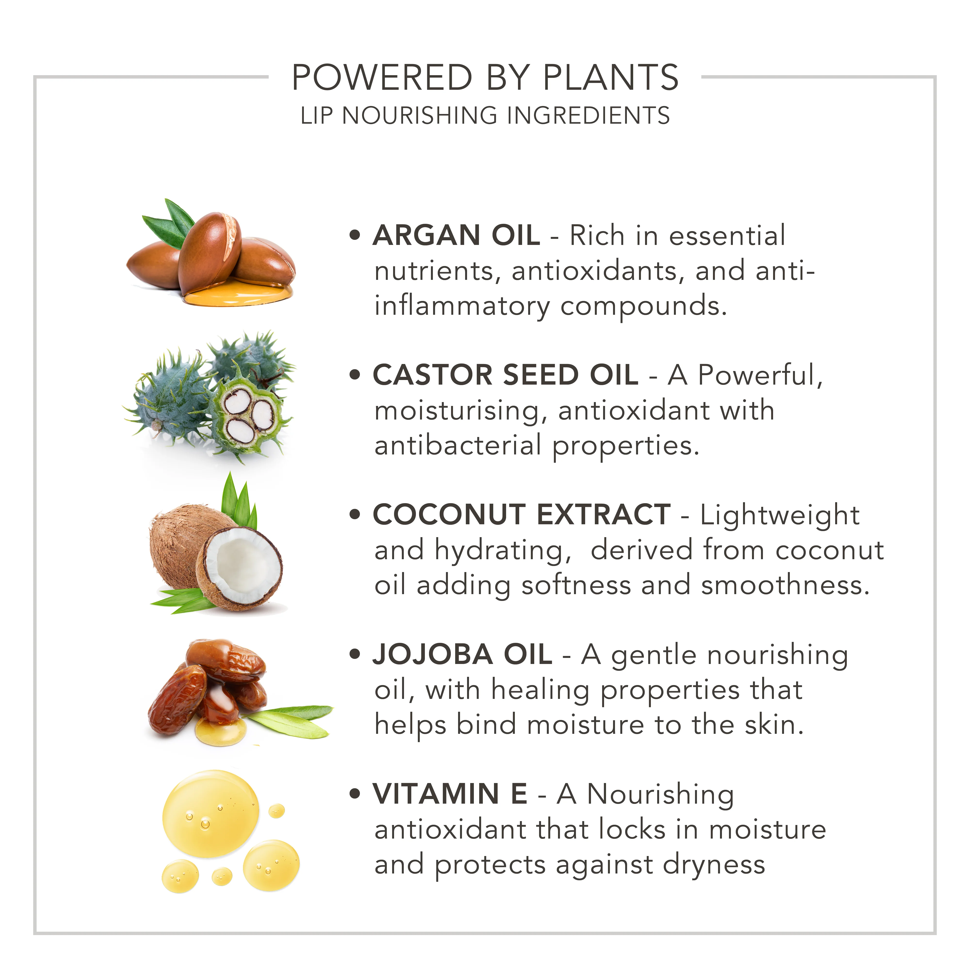 Lip Saviour | Colour Enhancing Lip Oil - Image 4