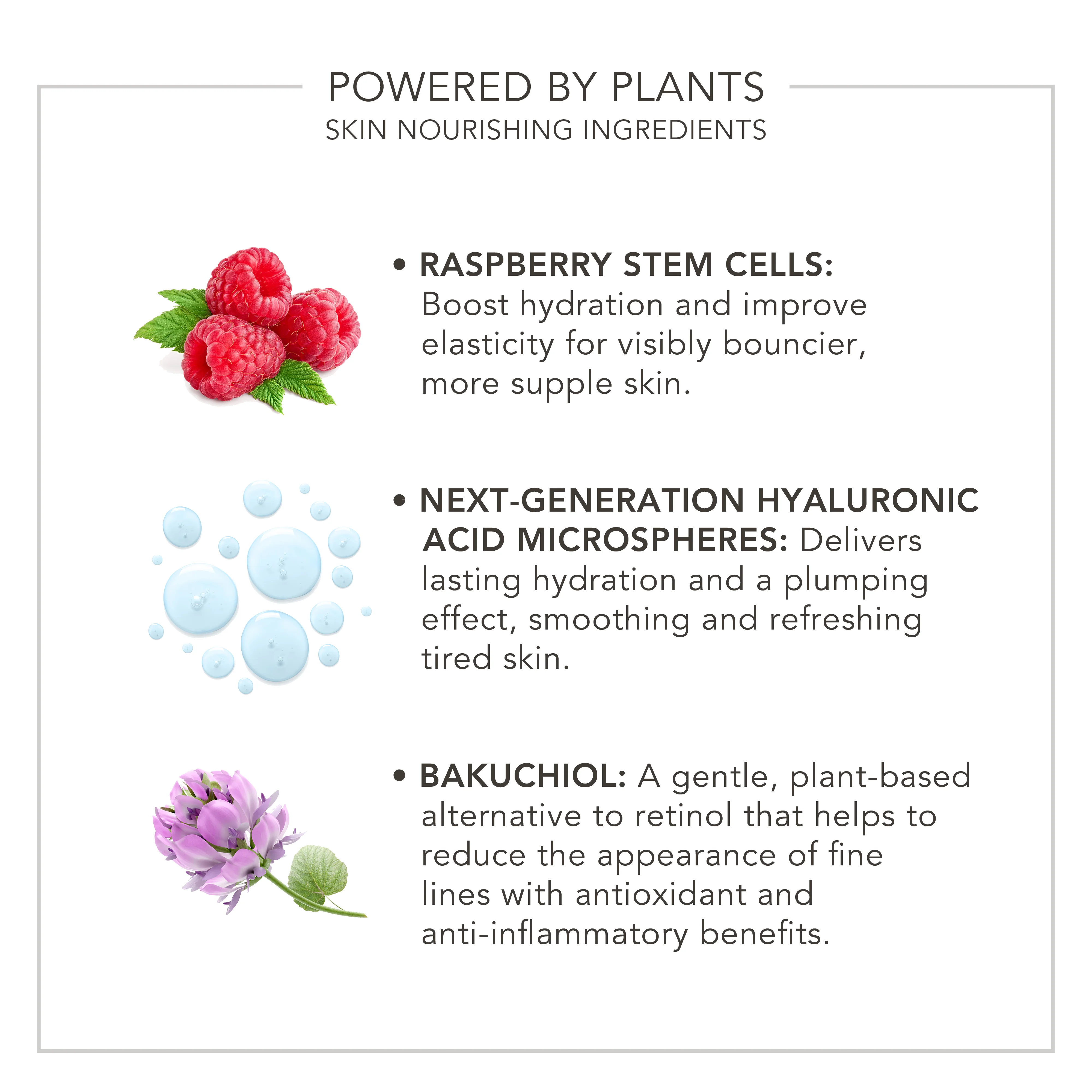 Wake Up | Radiant Elixir - Image 7