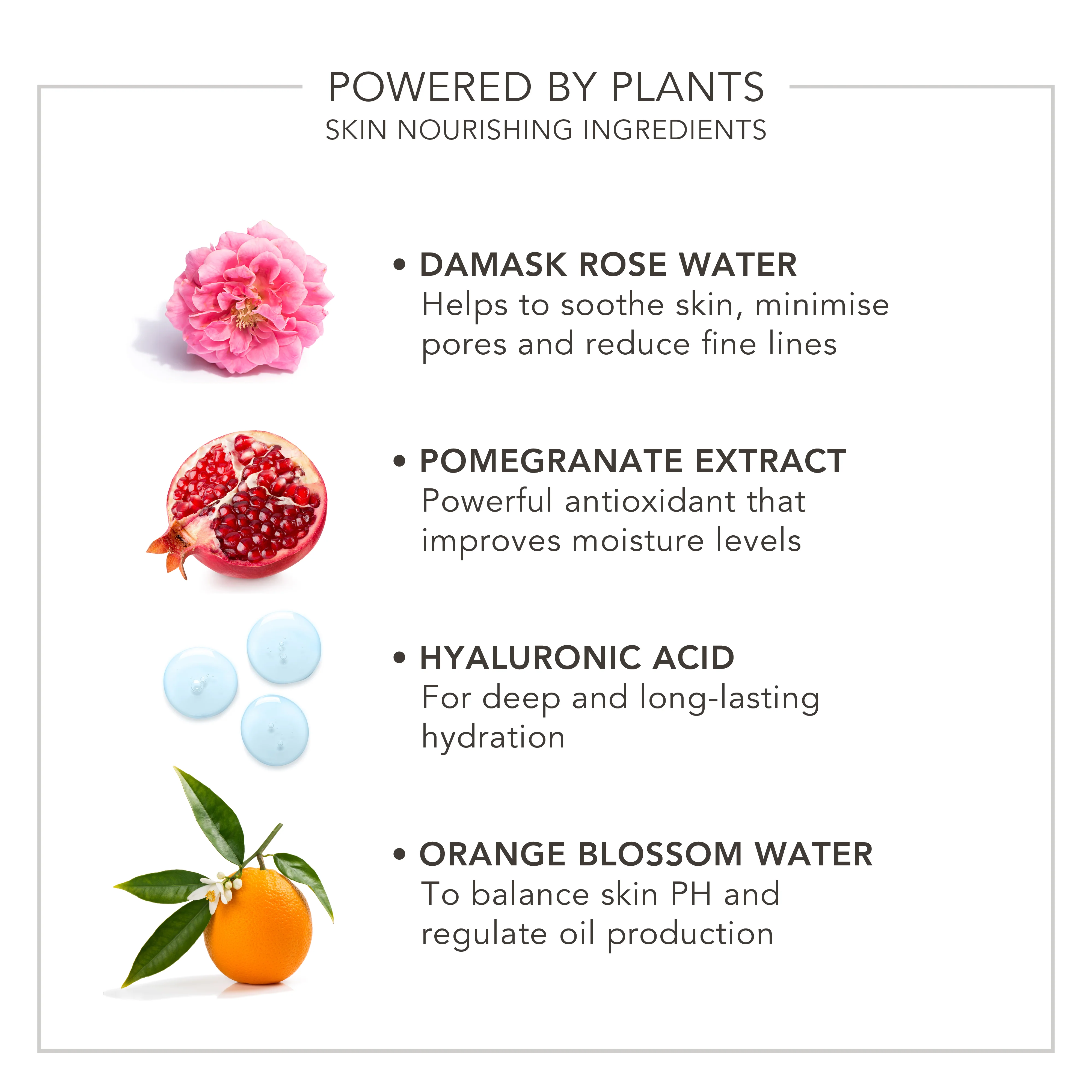 Wake Up | Radiant Hydrating Skin & Make-up Mist - Image 3