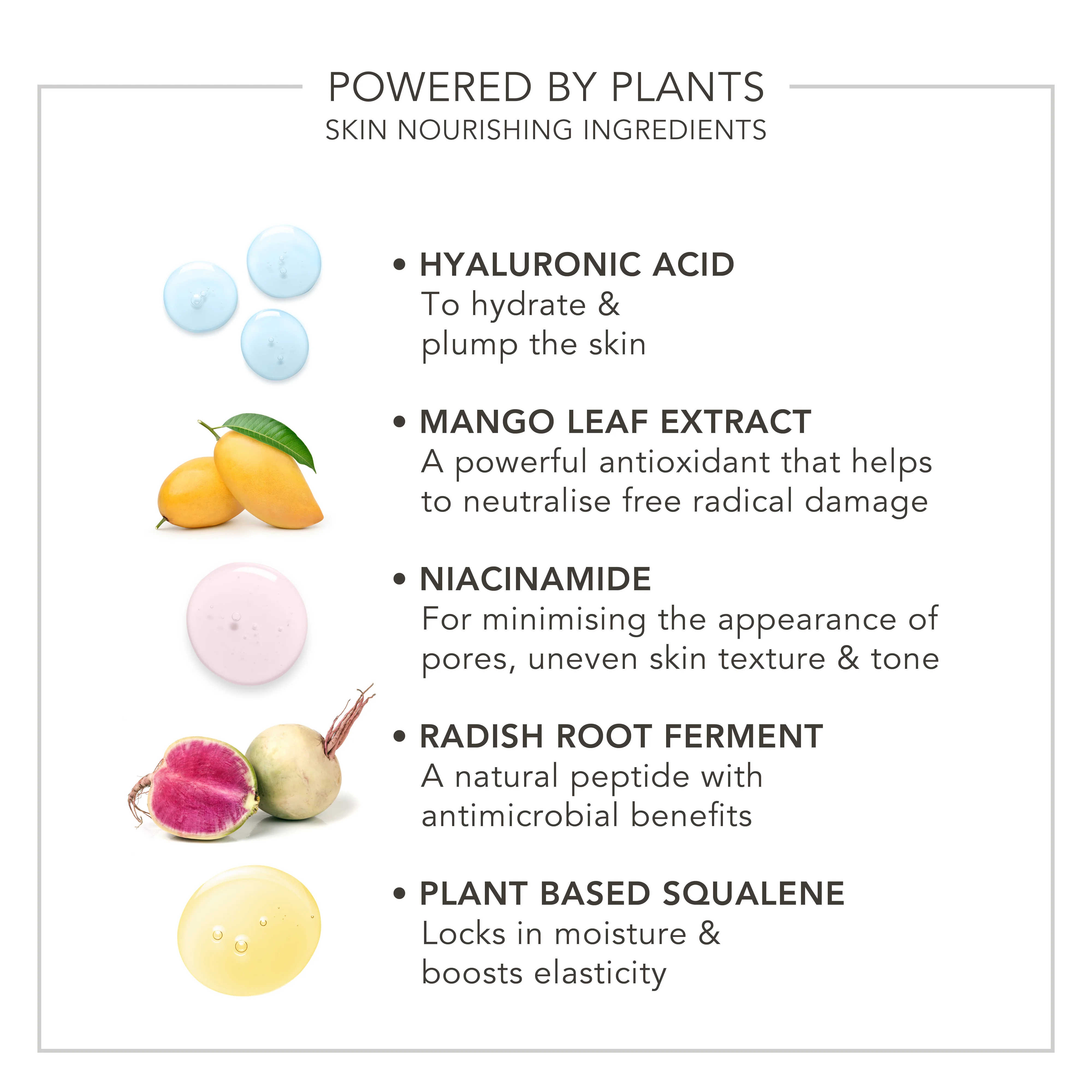 Wake Up | Radiant Skin Tint - Image 16